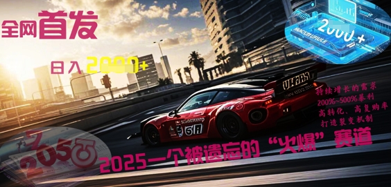 全网首发：2025一个被遗忘的“火爆”赛道轻松日入多张-云启轻创