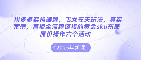 拼多多实操课程，飞龙在天玩法，真实案例，直播全流程链接的黄金sku布局原价操作六个活动-云启轻创