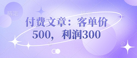 付费文章：客单价500，利润300-云启轻创