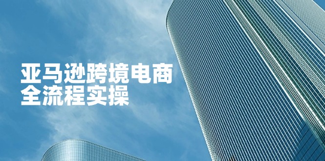 （14252期）亚马逊跨境电商全流程实操，教你从零开始，掌握店铺运营与广告技巧-云启轻创