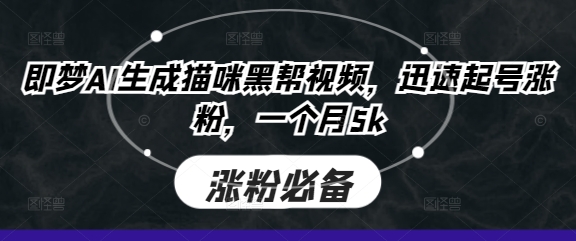 即梦AI生成猫咪黑帮视频，迅速起号涨粉，一个月5k-云启轻创