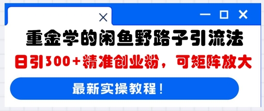 重金学的闲鱼野路子引流法，日引300+精准创业粉，可矩阵放大-云启轻创