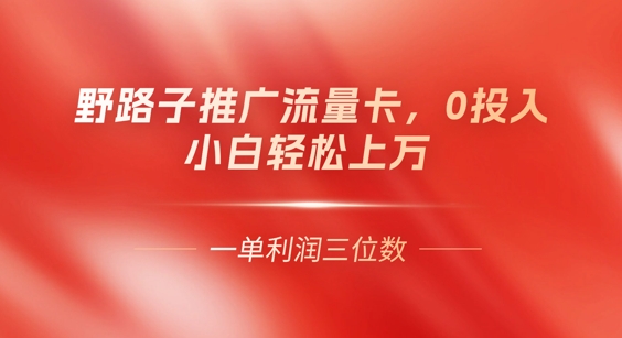 0门槛推广流量卡，一单收益上百，0投入，小白月入过W-云启轻创