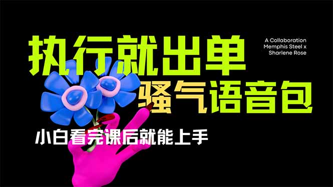 （14170期）爆火全网的开车导航骚气语音包,只要执行就出单，小白看完课程就能实操...-云启轻创