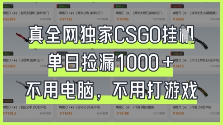 真全网独家CSGO挂G，单日捡漏1k+【揭秘】-云启轻创