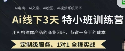 AI实操培训第20-21期线下，0基础保姆级教程，3月最新整理，企业获客、降本增效、打造超级个体-云启轻创
