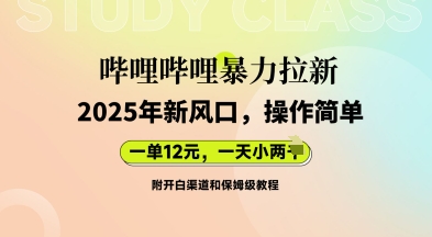 哔哩哔哩暴力拉新：2025年新风口，一单12元，一天数张(附开白渠道和保姆级教程)-云启轻创