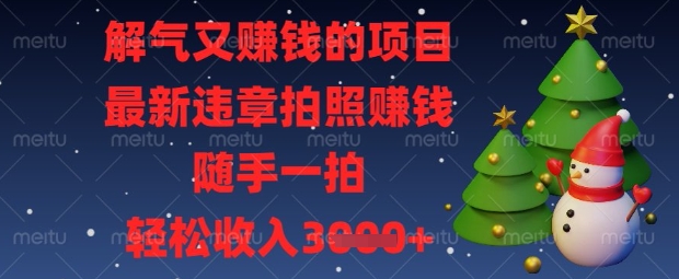 解气又挣钱的项目，最新违章拍照挣钱，随手一拍，轻松收入数张【揭秘】-云启轻创